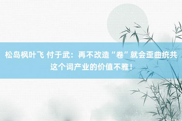 松岛枫叶飞 付于武：再不改造“卷”就会歪曲统共这个词产业的价值不雅！