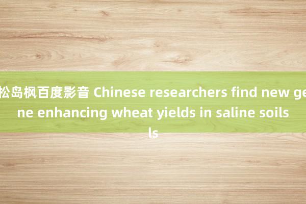 松岛枫百度影音 Chinese researchers find new gene enhancing wheat yields in saline soils