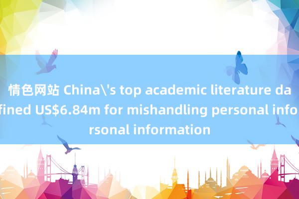 情色网站 China's top academic literature database fined US$6.84m for mishandling personal information