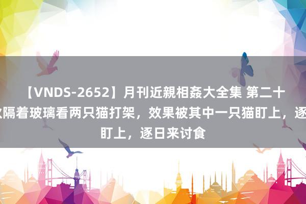 【VNDS-2652】月刊近親相姦大全集 第二十二巻 小伙隔着玻璃看两只猫打架，效果被其中一只猫盯上，逐日来讨食