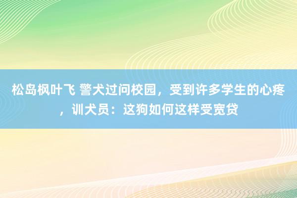 松岛枫叶飞 警犬过问校园，受到许多学生的心疼，训犬员：这狗如何这样受宽贷