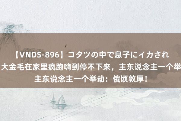 【VNDS-896】コタツの中で息子にイカされる義母 第二章 大金毛在家里疯跑嗨到停不下来，主东说念主一个举动：俄顷敦厚！