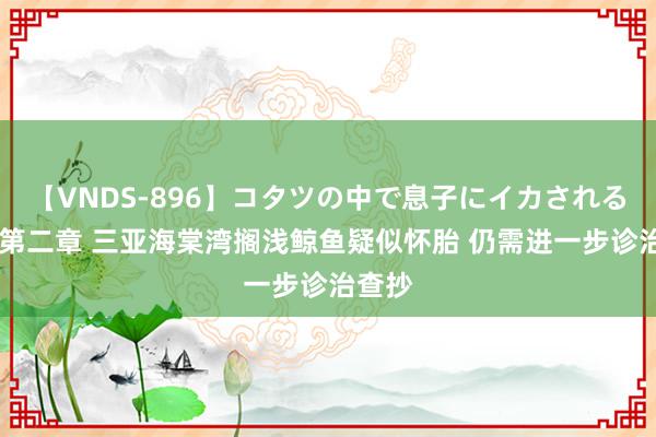 【VNDS-896】コタツの中で息子にイカされる義母 第二章 三亚海棠湾搁浅鲸鱼疑似怀胎 仍需进一步诊治查抄