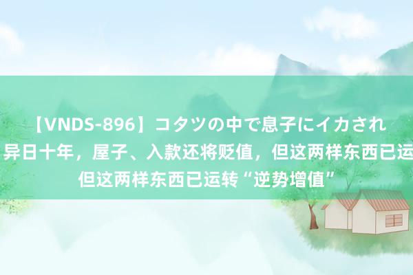 【VNDS-896】コタツの中で息子にイカされる義母 第二章 异日十年，屋子、入款还将贬值，但这两样东西已运转“逆势增值”