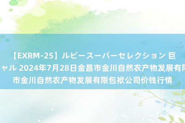 【EXRM-25】ルビースーパーセレクション 巨乳豊満4時間スペシャル 2024年7月28日金昌市金川自然农产物发展有限包袱公司价钱行情