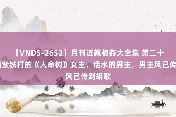 【VNDS-2652】月刊近親相姦大全集 第二十二巻 杨紫铁打的《人命树》女主，活水的男主，男主风已传到胡歌