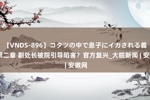 【VNDS-896】コタツの中で息子にイカされる義母 第二章 副处长被院引导陷害？官方复兴_大皖新闻 | 安徽网