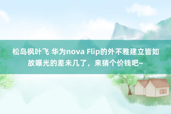 松岛枫叶飞 华为nova Flip的外不雅建立皆如故曝光的差未几了，来猜个价钱吧~