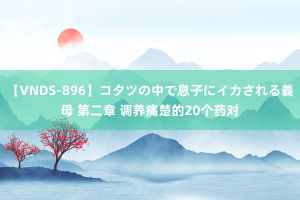 【VNDS-896】コタツの中で息子にイカされる義母 第二章 调养痛楚的20个药对