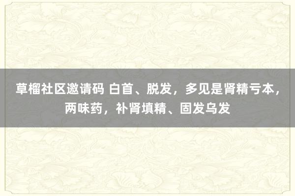 草榴社区邀请码 白首、脱发，多见是肾精亏本，两味药，补肾填精、固发乌发