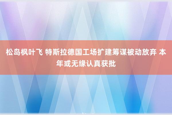 松岛枫叶飞 特斯拉德国工场扩建筹谋被动放弃 本年或无缘认真获批