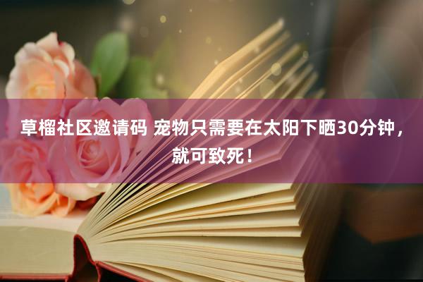 草榴社区邀请码 宠物只需要在太阳下晒30分钟，就可致死！