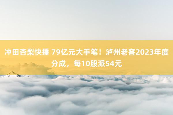 冲田杏梨快播 79亿元大手笔！泸州老窖2023年度分成，每10股派54元