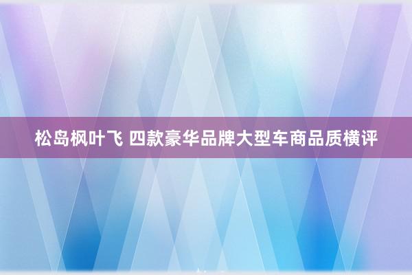 松岛枫叶飞 四款豪华品牌大型车商品质横评