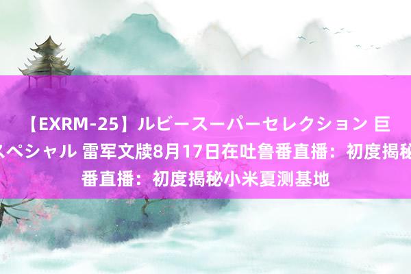 【EXRM-25】ルビースーパーセレクション 巨乳豊満4時間スペシャル 雷军文牍8月17日在吐鲁番直播：初度揭秘小米夏测基地