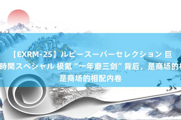 【EXRM-25】ルビースーパーセレクション 巨乳豊満4時間スペシャル 极氪“一年磨三剑”背后，是商场的相配内卷