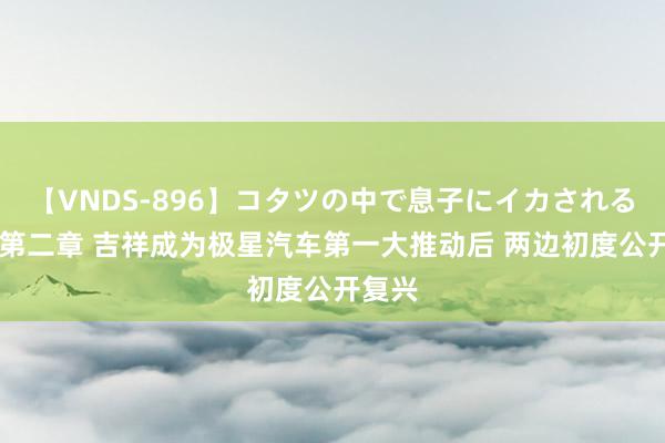 【VNDS-896】コタツの中で息子にイカされる義母 第二章 吉祥成为极星汽车第一大推动后 两边初度公开复兴