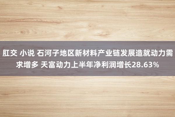 肛交 小说 石河子地区新材料产业链发展造就动力需求增多 天富动力上半年净利润增长28.63%