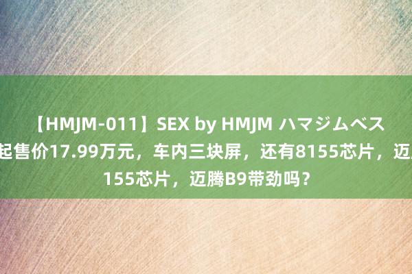 【HMJM-011】SEX by HMJM ハマジムベスト09 6時間 起售价17.99万元，车内三块屏，还有8155芯片，迈腾B9带劲吗？