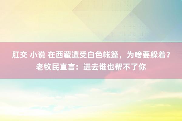 肛交 小说 在西藏遭受白色帐篷，为啥要躲着？老牧民直言：进去谁也帮不了你