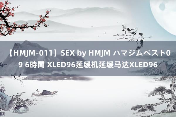 【HMJM-011】SEX by HMJM ハマジムベスト09 6時間 XLED96延缓机延缓马达XLED96