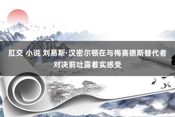 肛交 小说 刘易斯·汉密尔顿在与梅赛德斯替代者对决前吐露着实感受