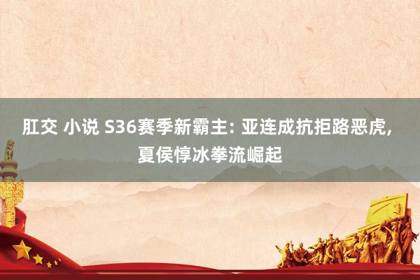 肛交 小说 S36赛季新霸主: 亚连成抗拒路恶虎, 夏侯惇冰拳流崛起