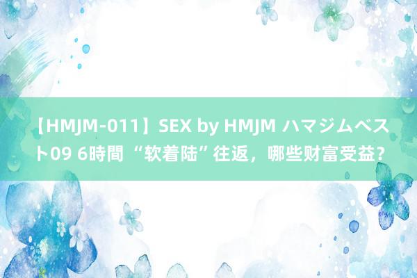 【HMJM-011】SEX by HMJM ハマジムベスト09 6時間 “软着陆”往返，哪些财富受益？