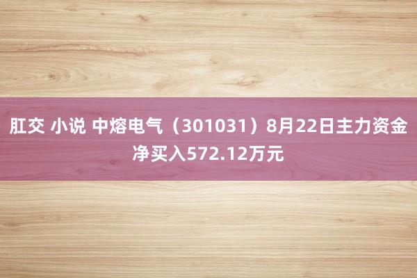 肛交 小说 中熔电气（301031）8月22日主力资金净买入572.12万元