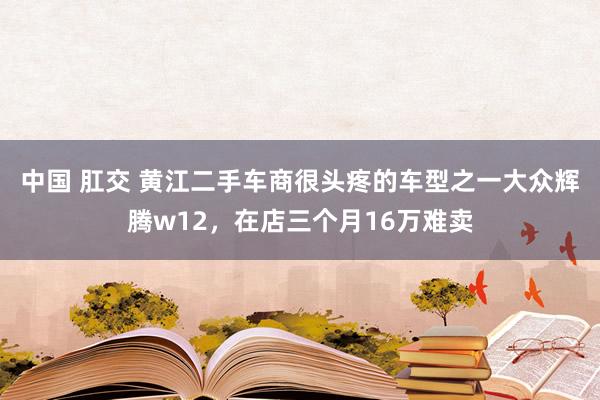 中国 肛交 黄江二手车商很头疼的车型之一大众辉腾w12，在店三个月16万难卖