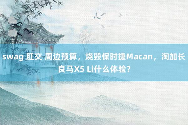 swag 肛交 周边预算，烧毁保时捷Macan，淘加长良马X5 Li什么体验？