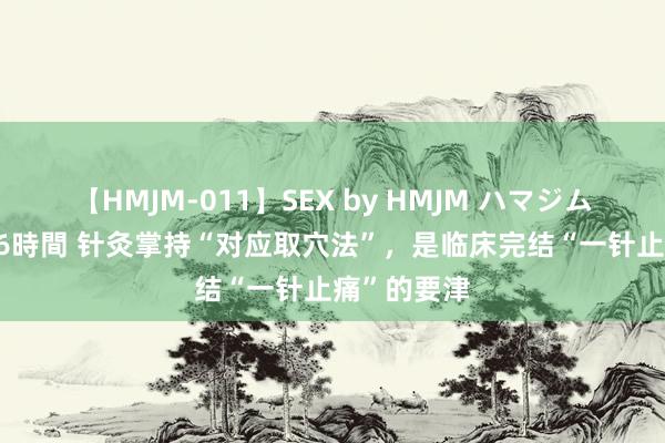 【HMJM-011】SEX by HMJM ハマジムベスト09 6時間 针灸掌持“对应取穴法”，是临床完结“一针止痛”的要津